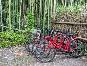 民宿旅游简报，探索新旅行方式