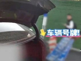 男子拆卸号牌“甩锅”老婆：她的车，我真不知道