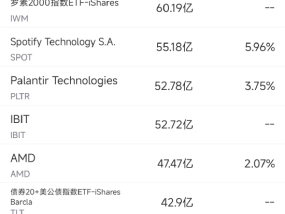 11月13日美股成交额前20：马斯克将领导特朗普政府效率部门