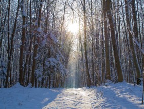 让冷资源热起来冰雪经济逐步升温