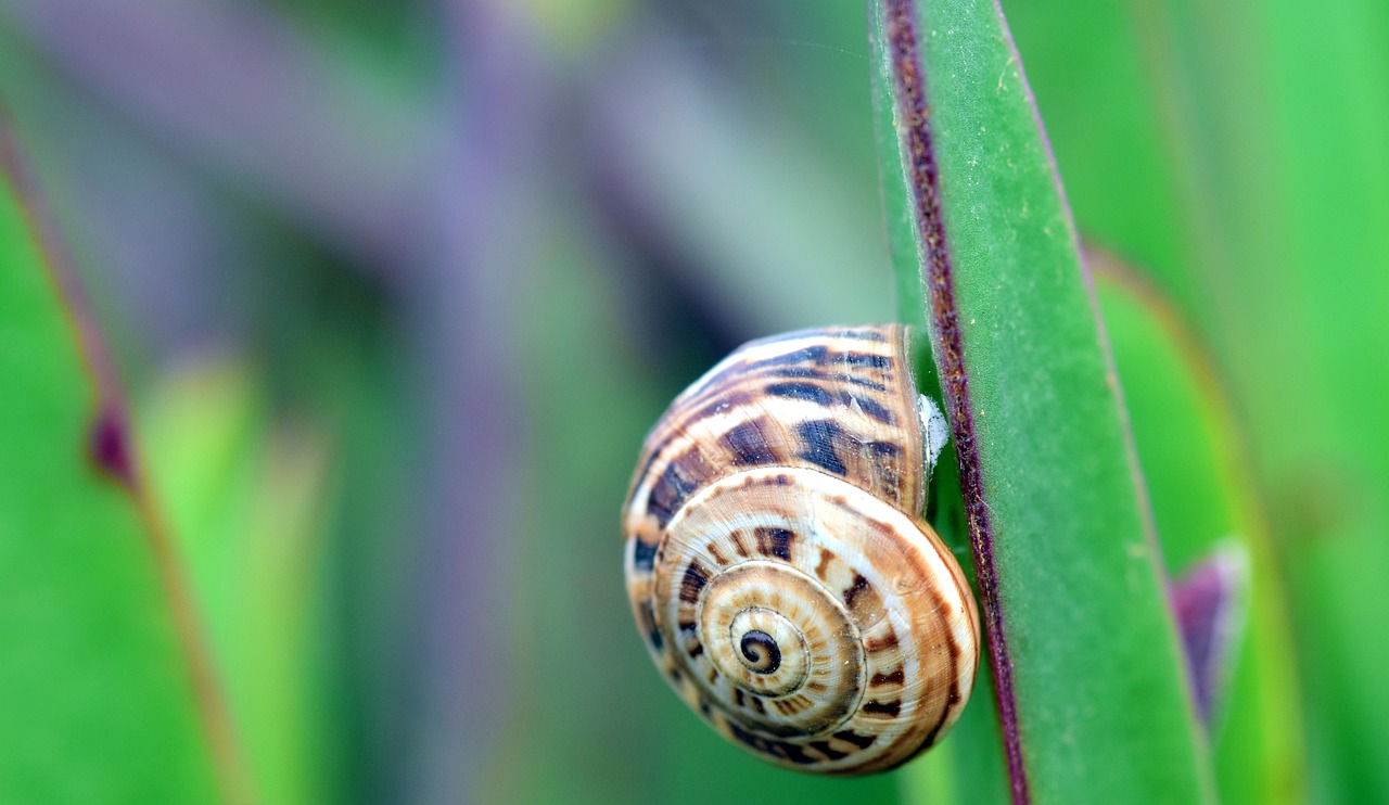 以实际行动保护全球生物多样性  第1张